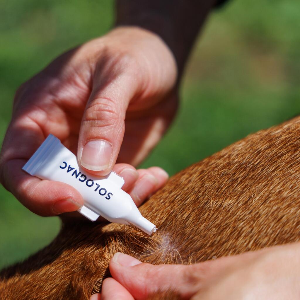 Parasite or flea pipettes for dogs weighing between 2 and 20 kg