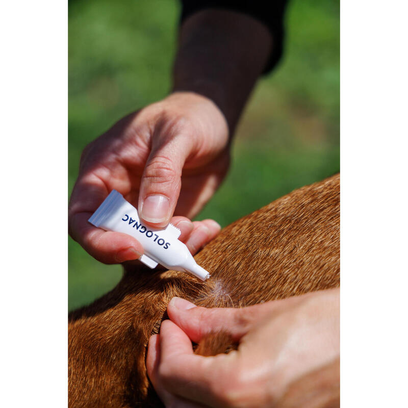 Pipettes antiparasitaire ou pipettes anti-puce pour chien entre 20 et 40 kg