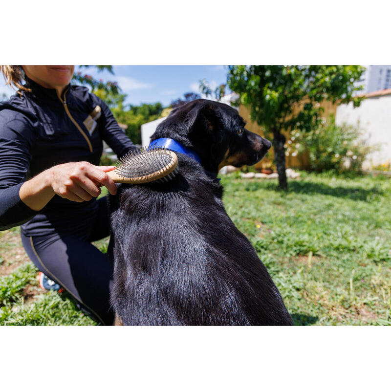 ESCOVA PARA CÃO 2 EM 1