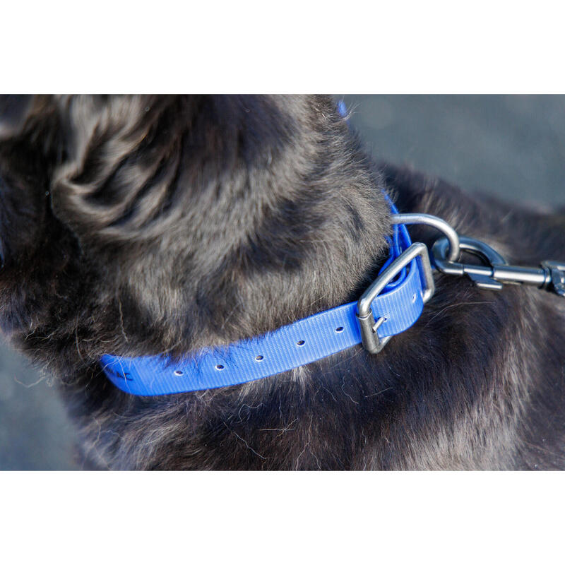 Hundehalsband 500 dunkelblau 