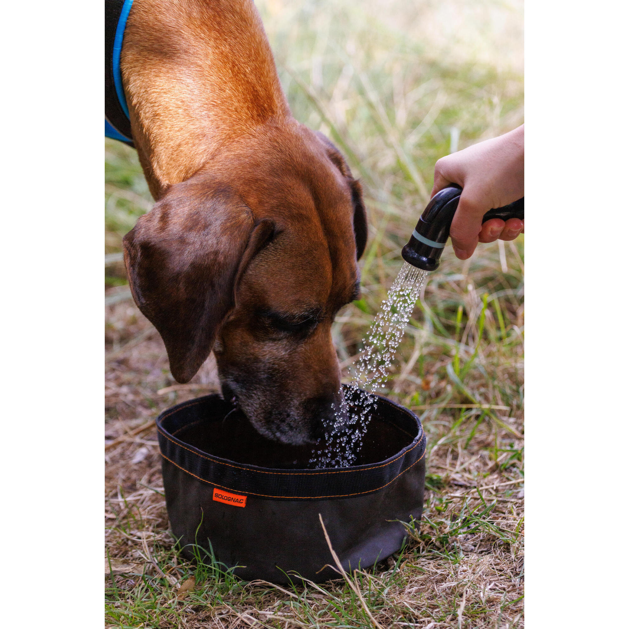 Fressnapf Für Hunde & Katzen – 500 Ml Mit Anti-Schling-Rillen, Rutschfeste Füße