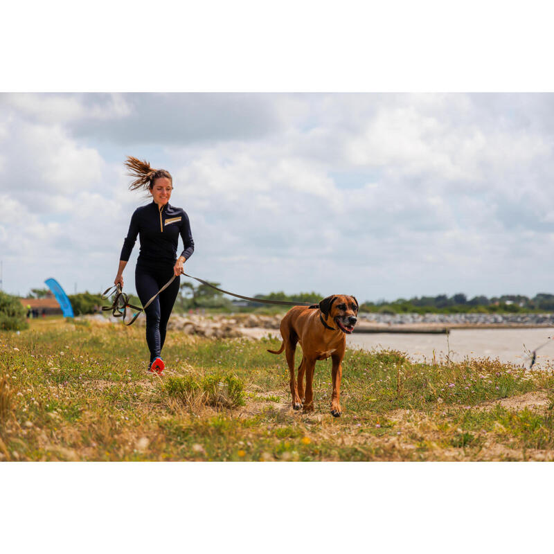 Longe pour chien 10 mètres 100 verte