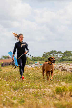 Dog lead 10 metres 100 green
