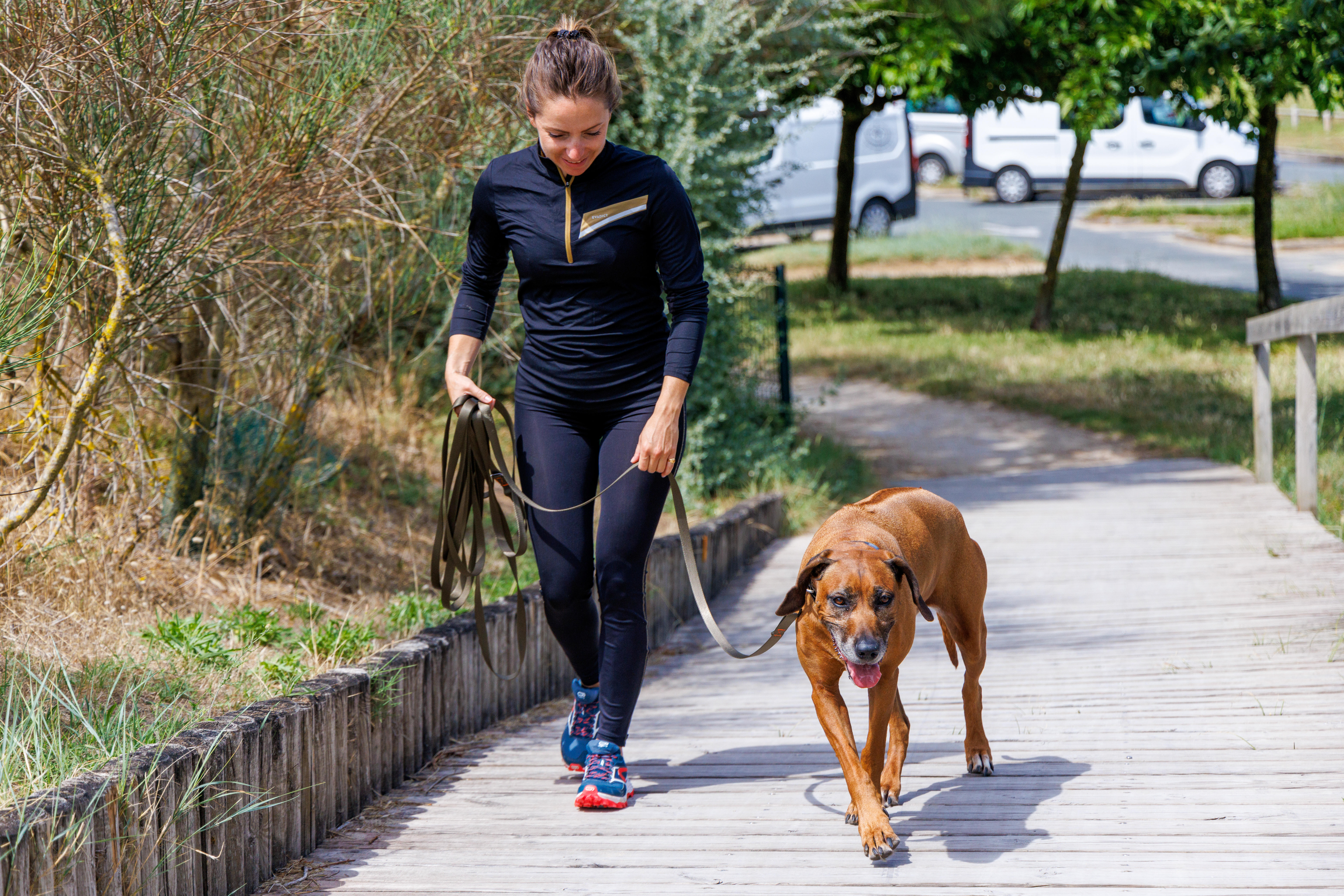 Longe pour chien 10 m - 100 vert - SOLOGNAC