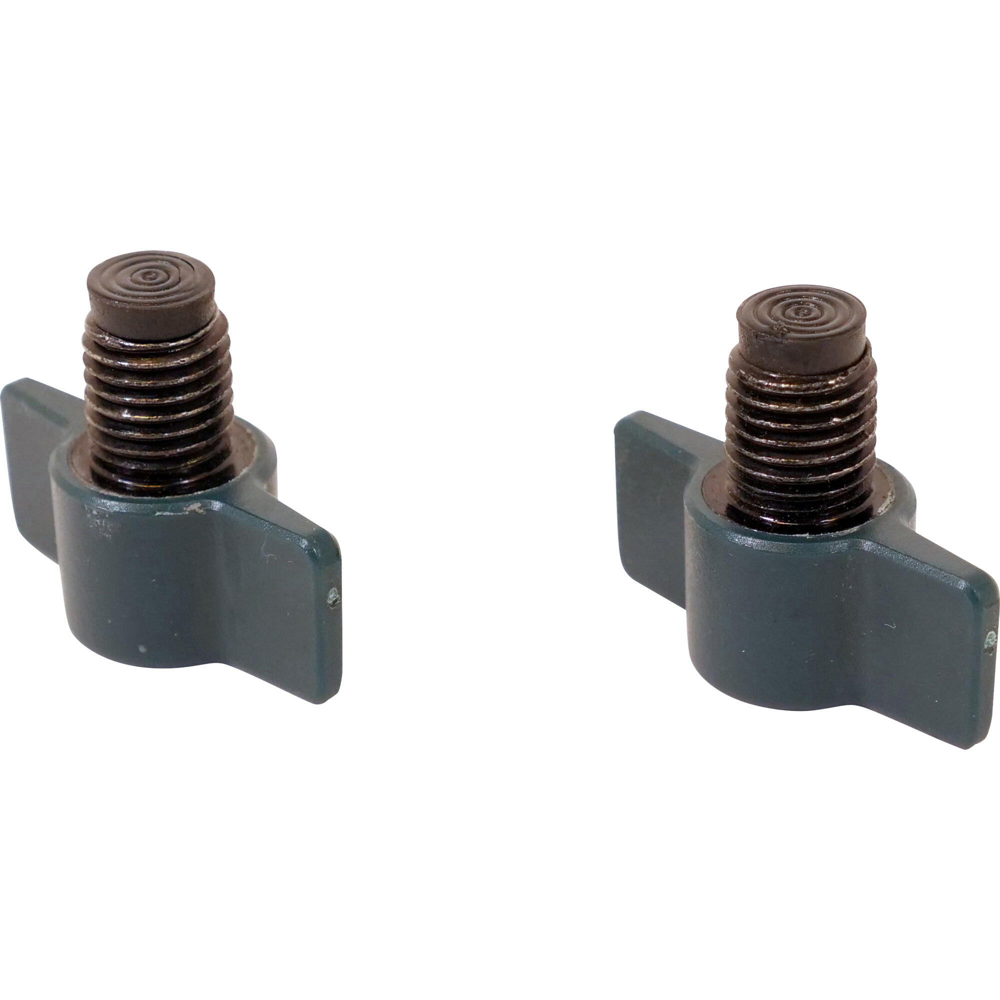 TS 100 - CLAMPING SCREWS X2