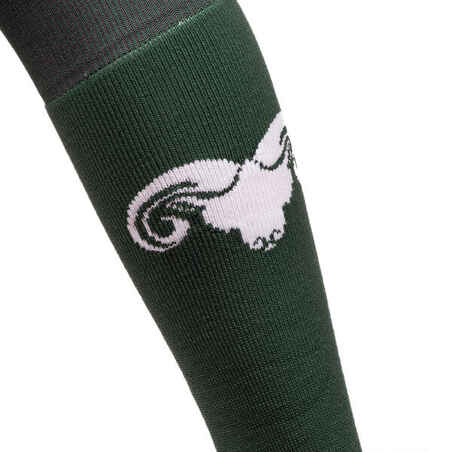 Adult Socks FH500 - Verviers/Green