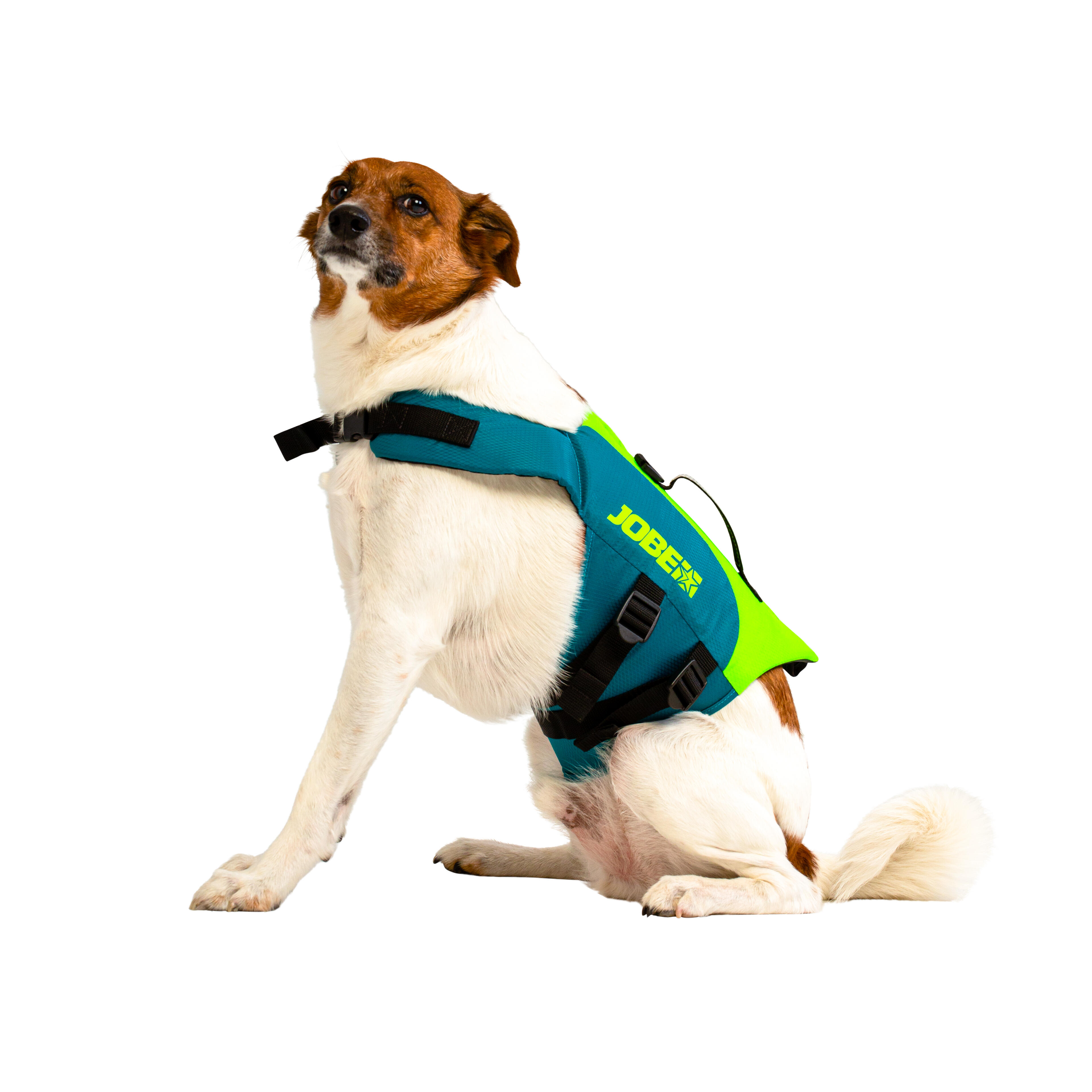 LIFE VEST FOR DOGS FOR USE DURING STAND UP PADDLE