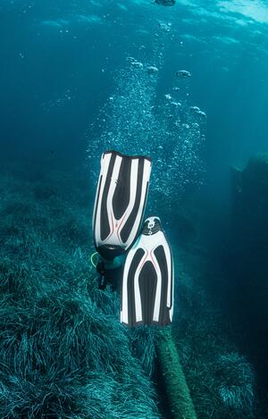 Fins