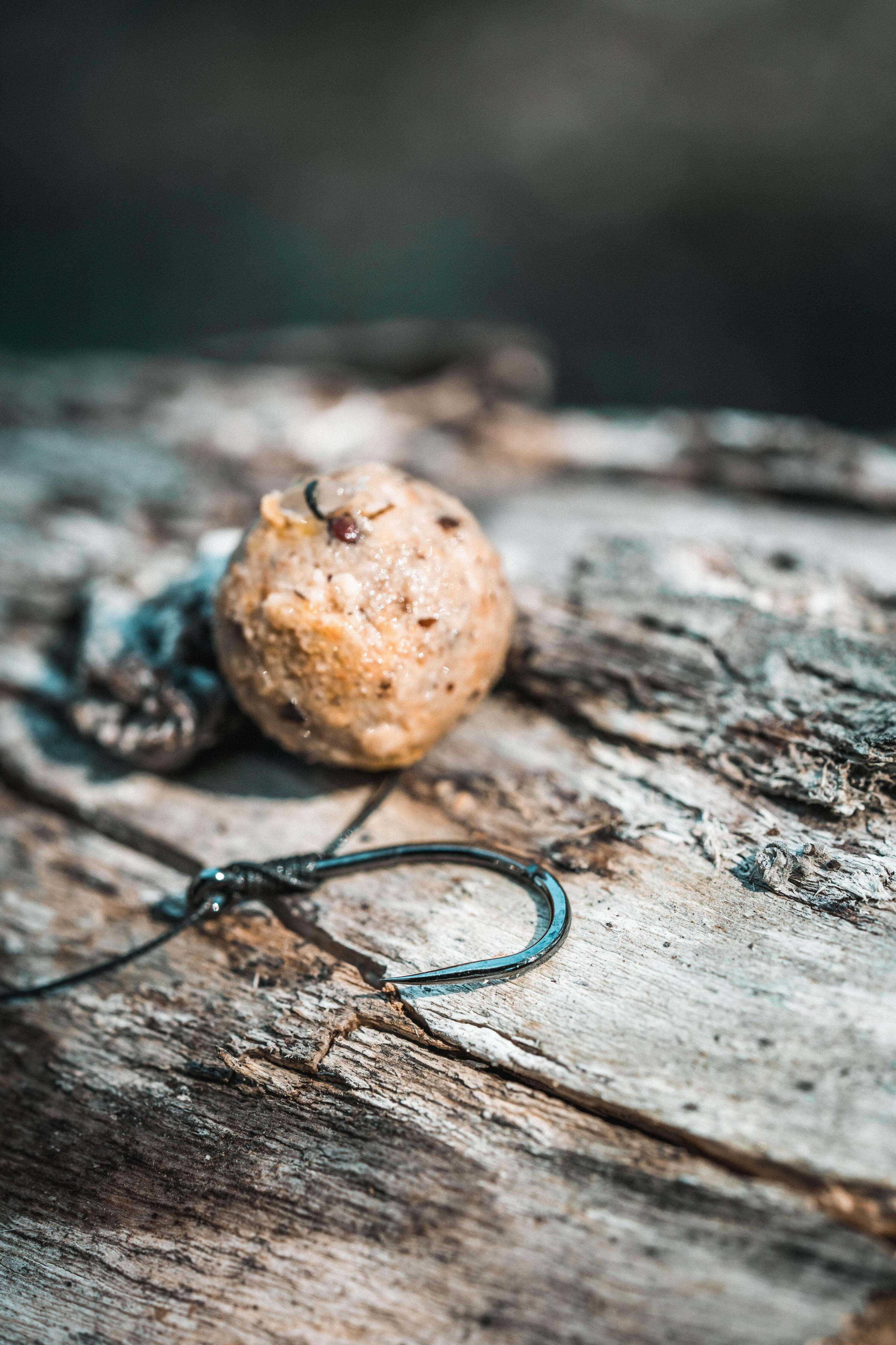Anzuelo 100 Carpfishing 9/9