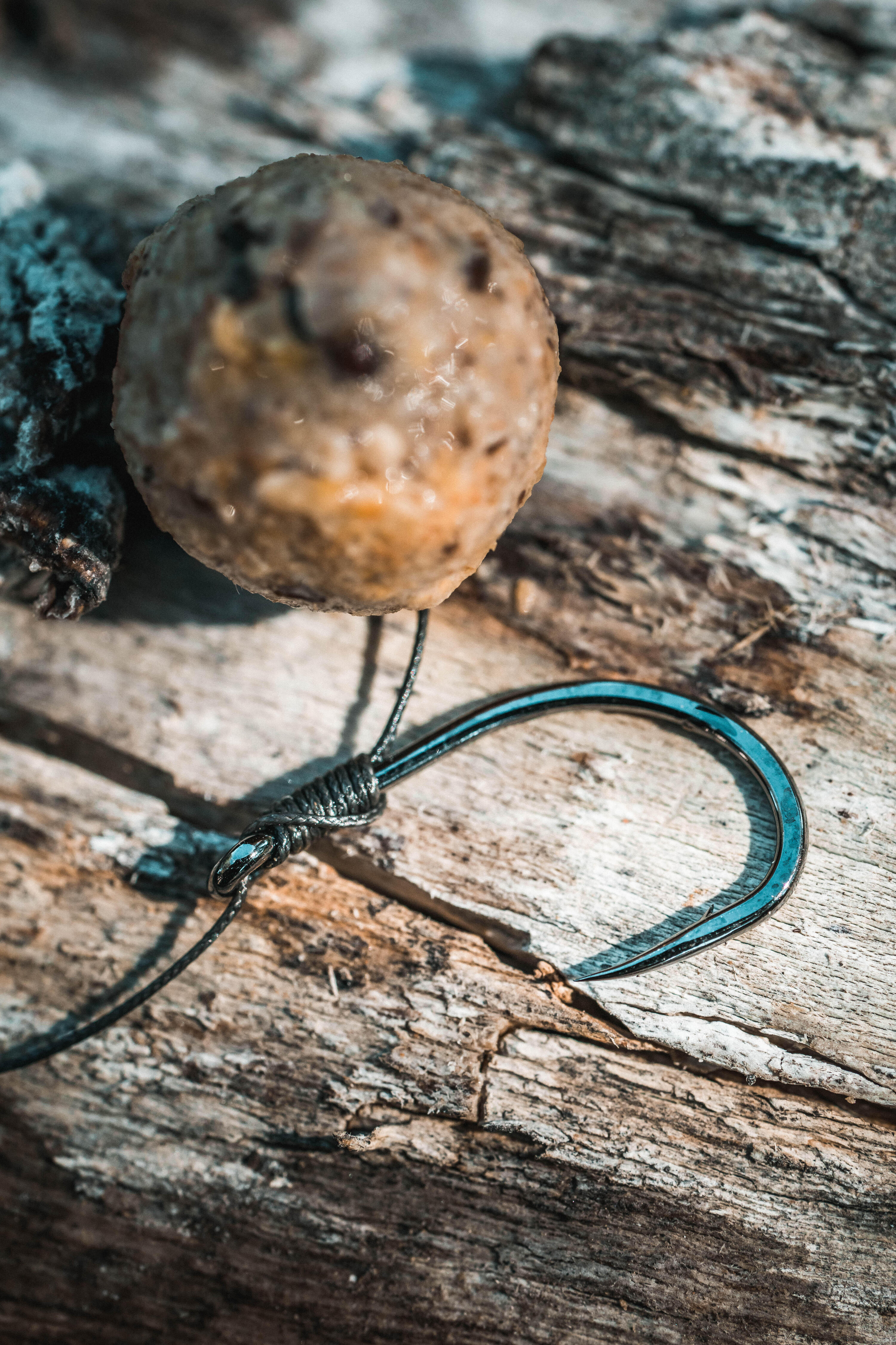 Anzuelo 100 Carpfishing 8/9