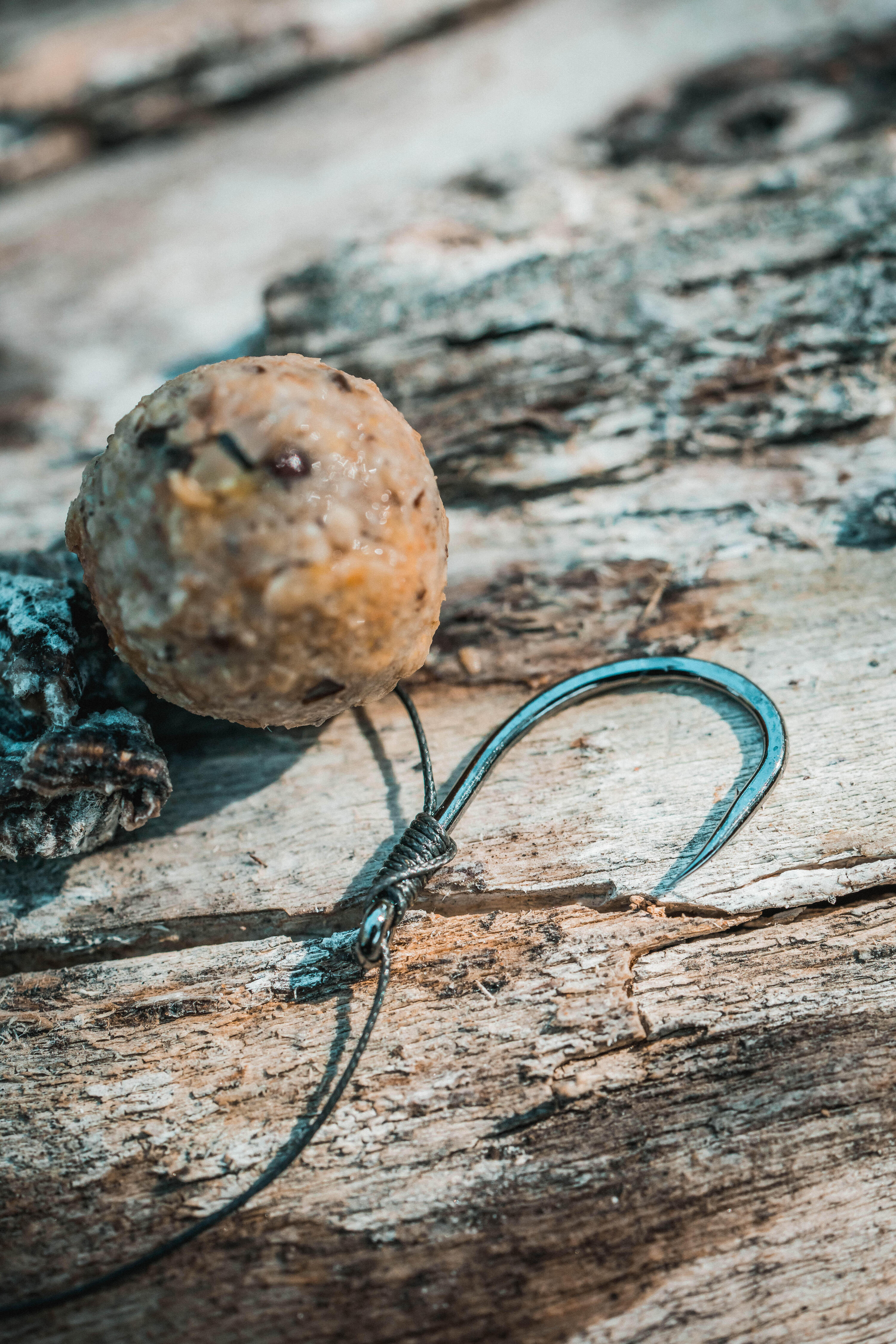 Anzuelo 100 Carpfishing 7/9