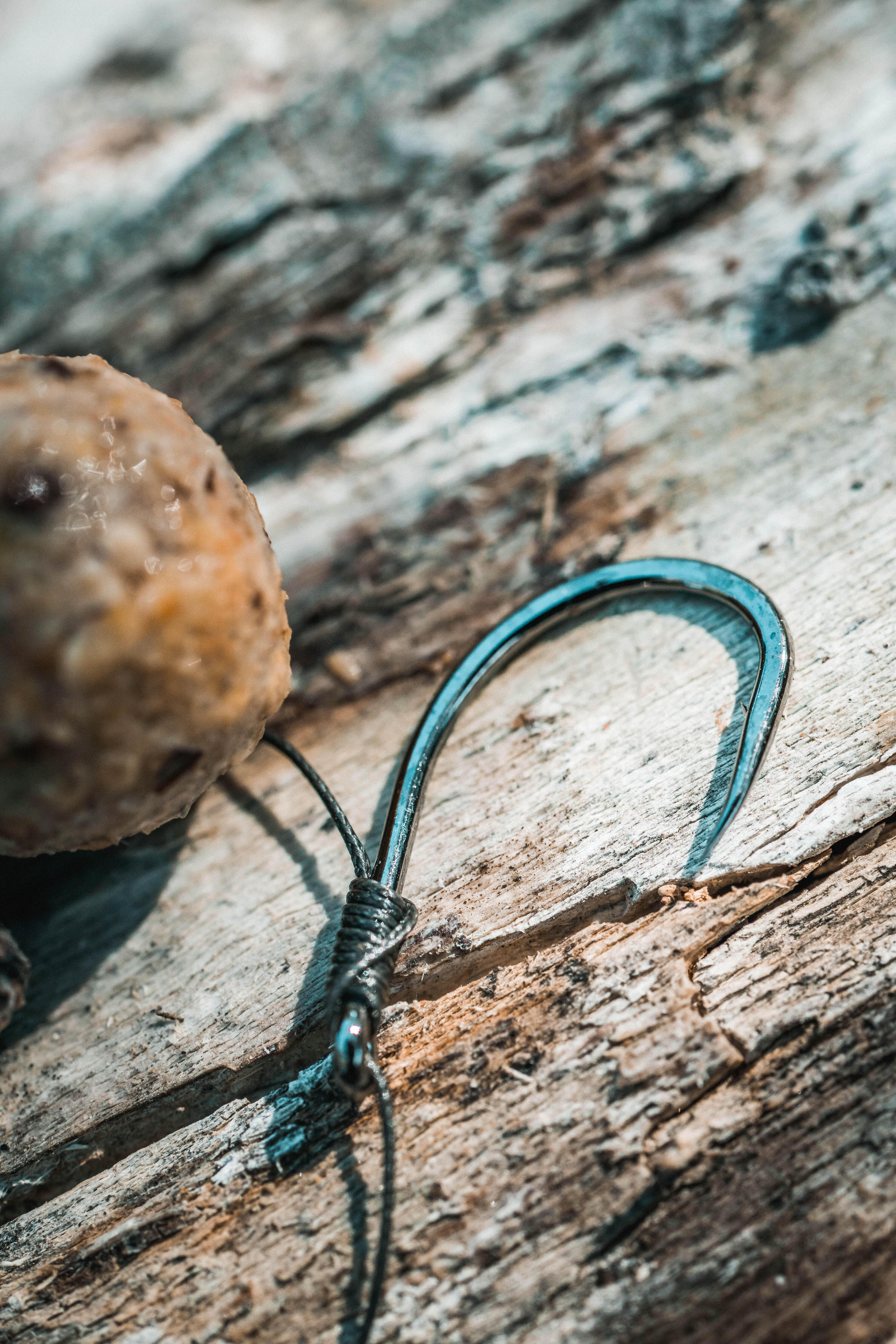 Anzuelo 100 Carpfishing 6/9