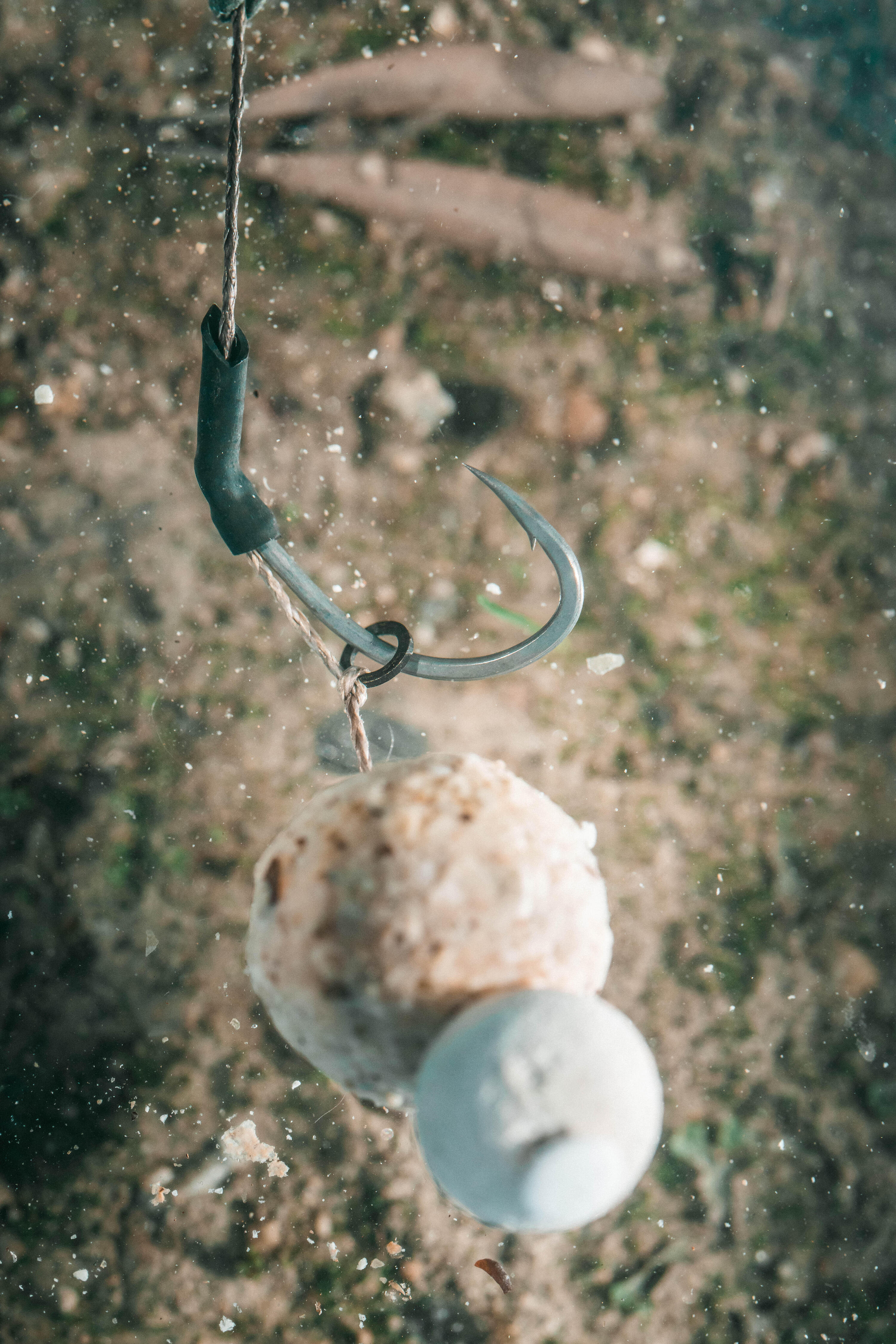 Hameçon pêche de la carpe - 500 Wide 5/9
