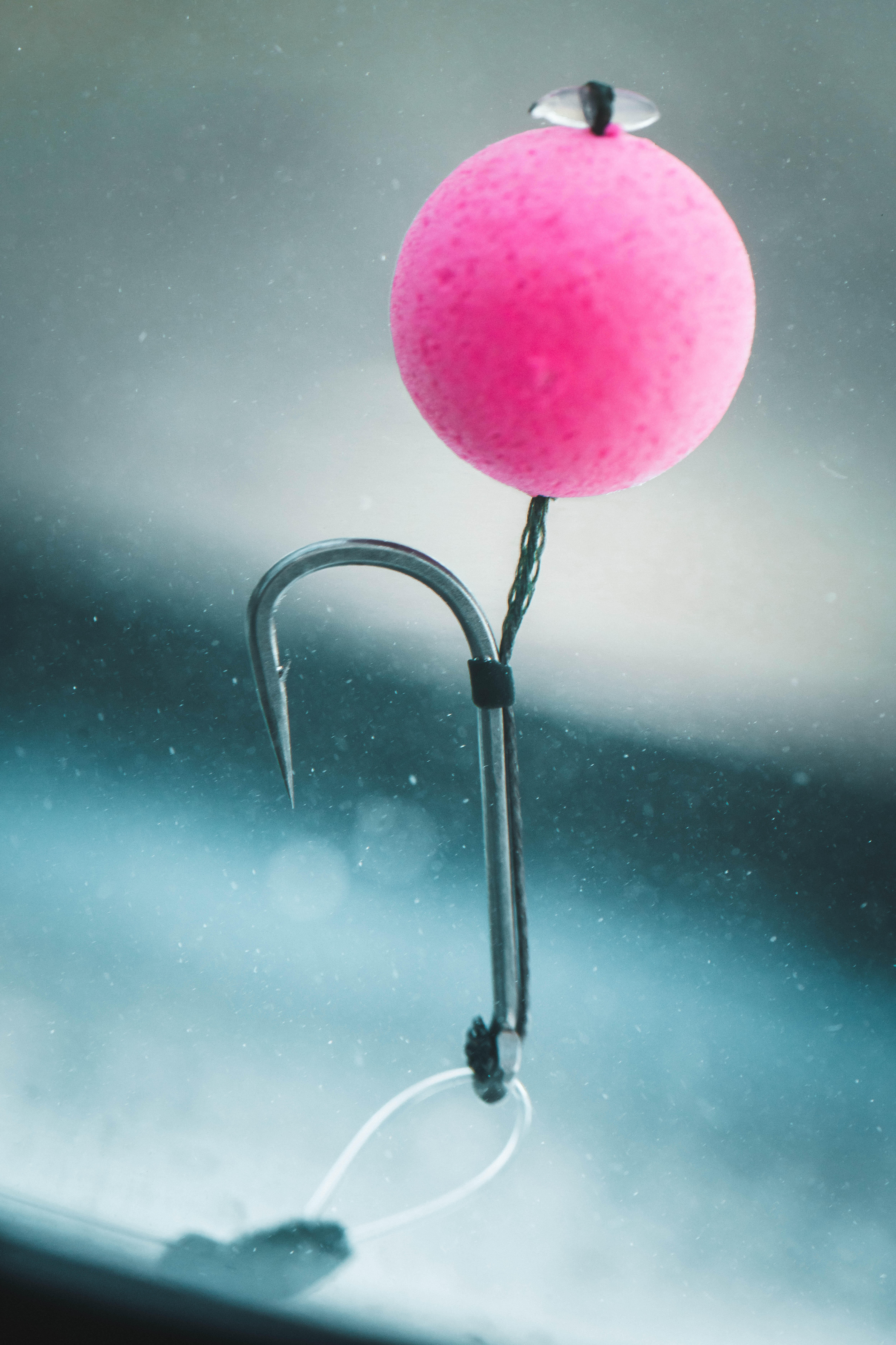 Alwonder Lot De 50 Hameçons De Pêche à La Carpe Sans Ardillon