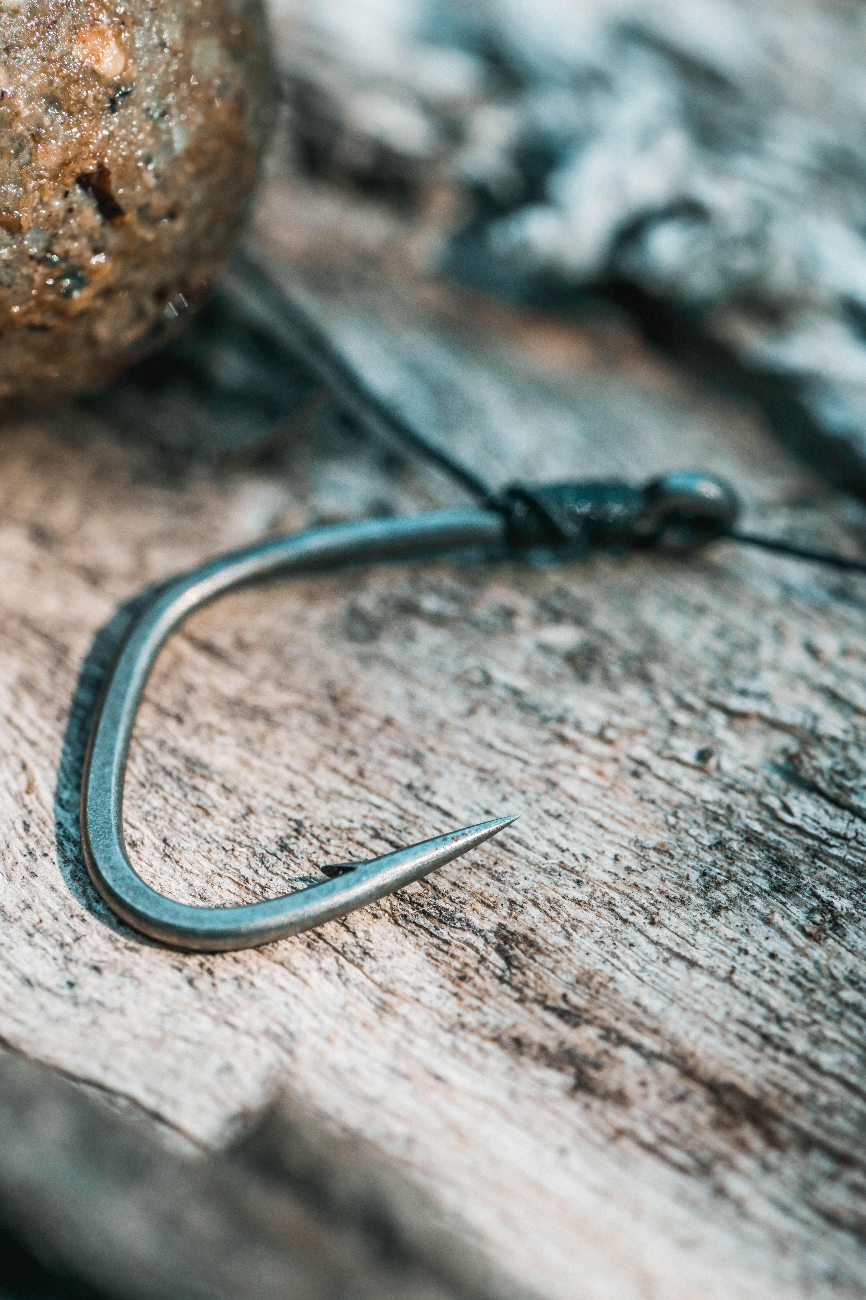 Hameçon pêche de la carpe - 900 Wild X 10/10