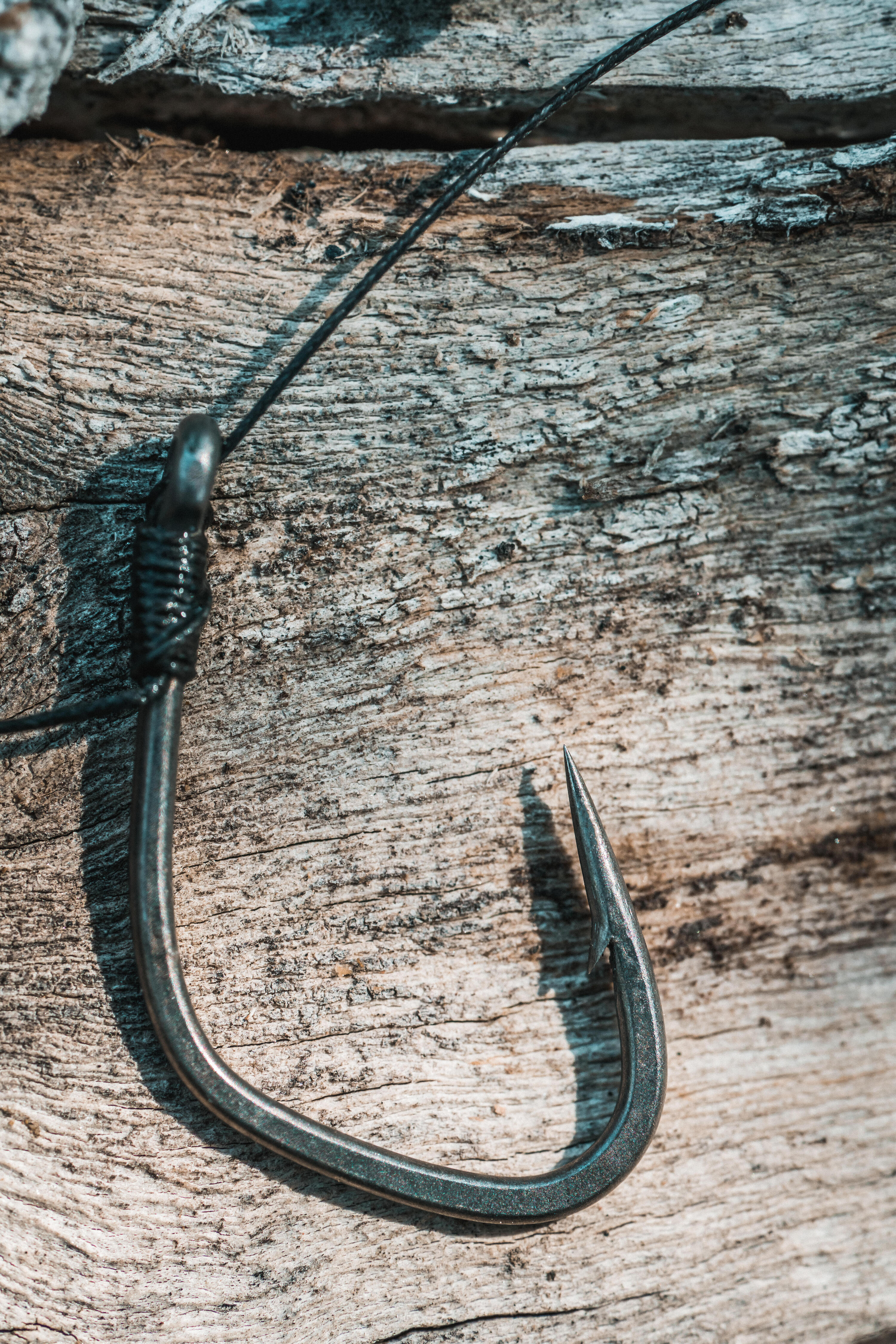 Hameçon pêche de la carpe - 900 Wild X 6/10