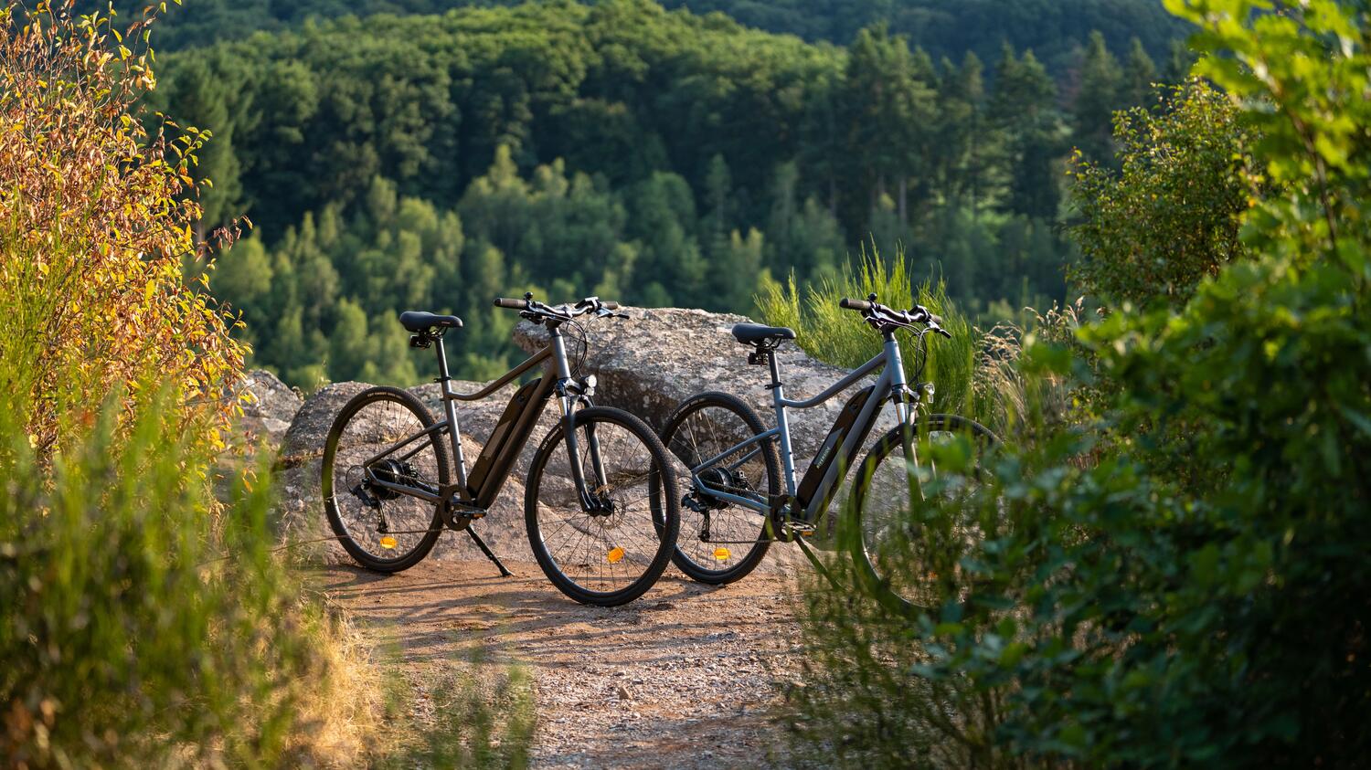 Fahrrad