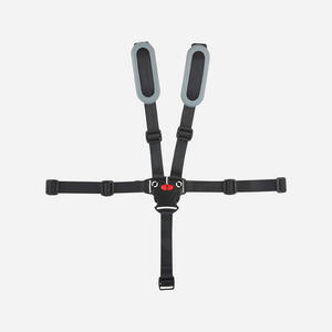 Cinturón Polisport Guppy Negro