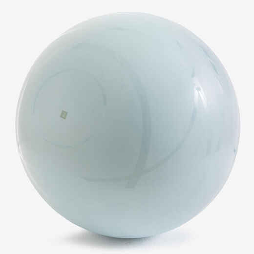 
      Gym Ball with Pump Included for Quick Inflation/Deflation Size 3/75 cm
  