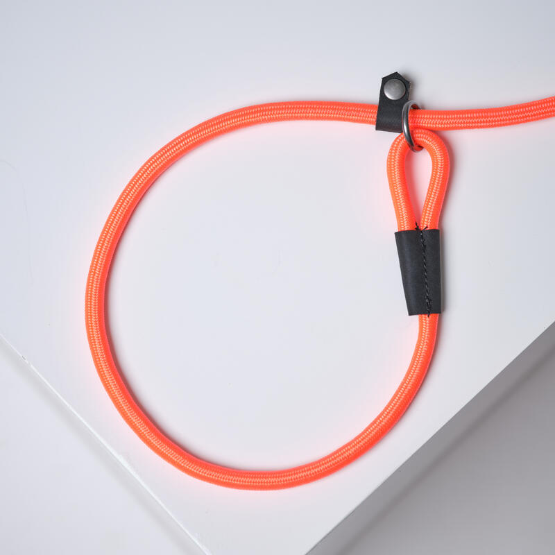 LAISSE LASSO CHIEN ORANGE 100