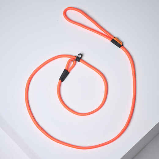 
      LASSO DOG LEASH 100 - ORANGE
  