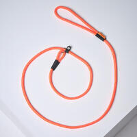 LAISSE LASSO CHIEN ORANGE 100