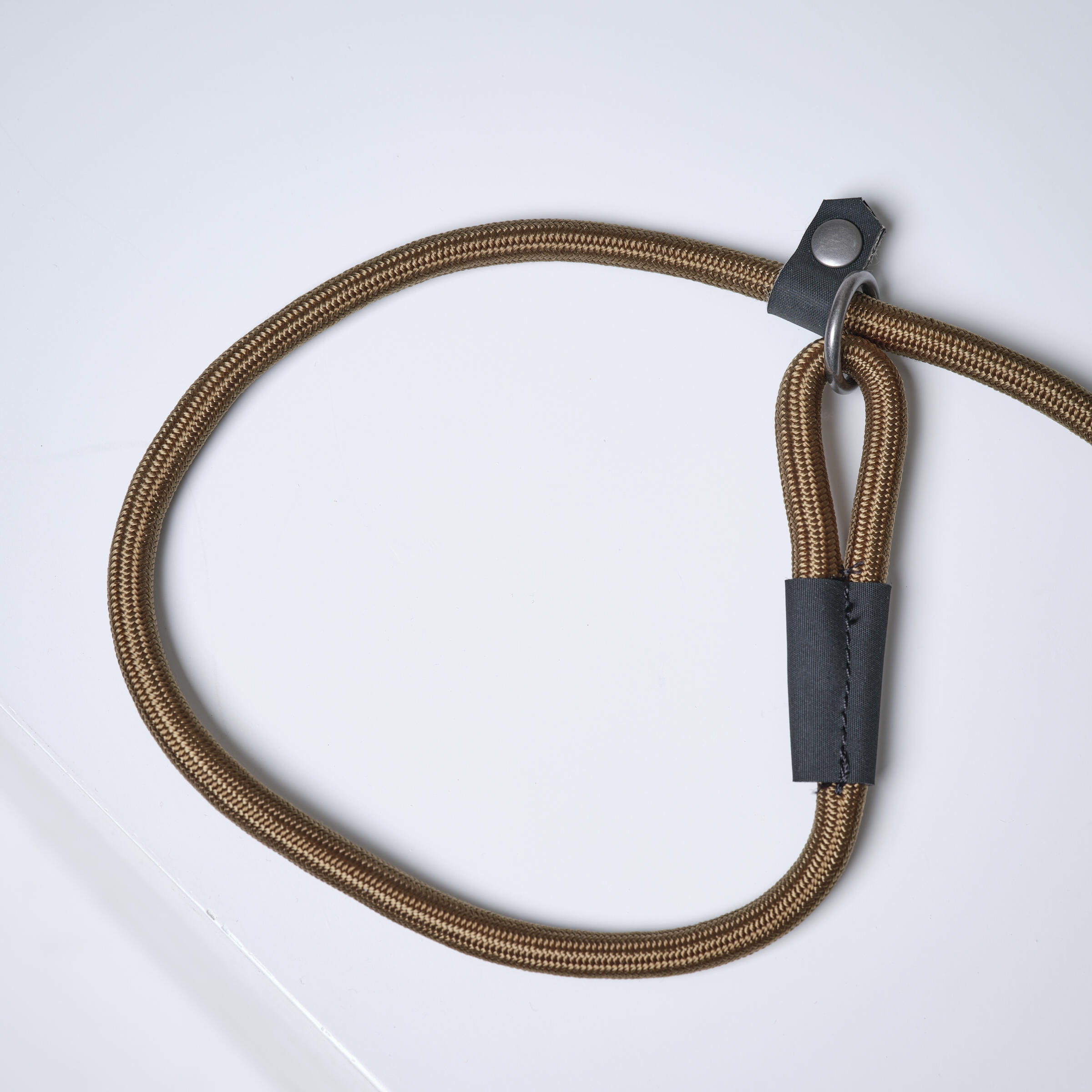 Laisse lasso chien verte 100 2/5