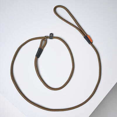 Hundeleine LASSO 100 grün