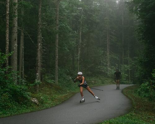ski roue en foret