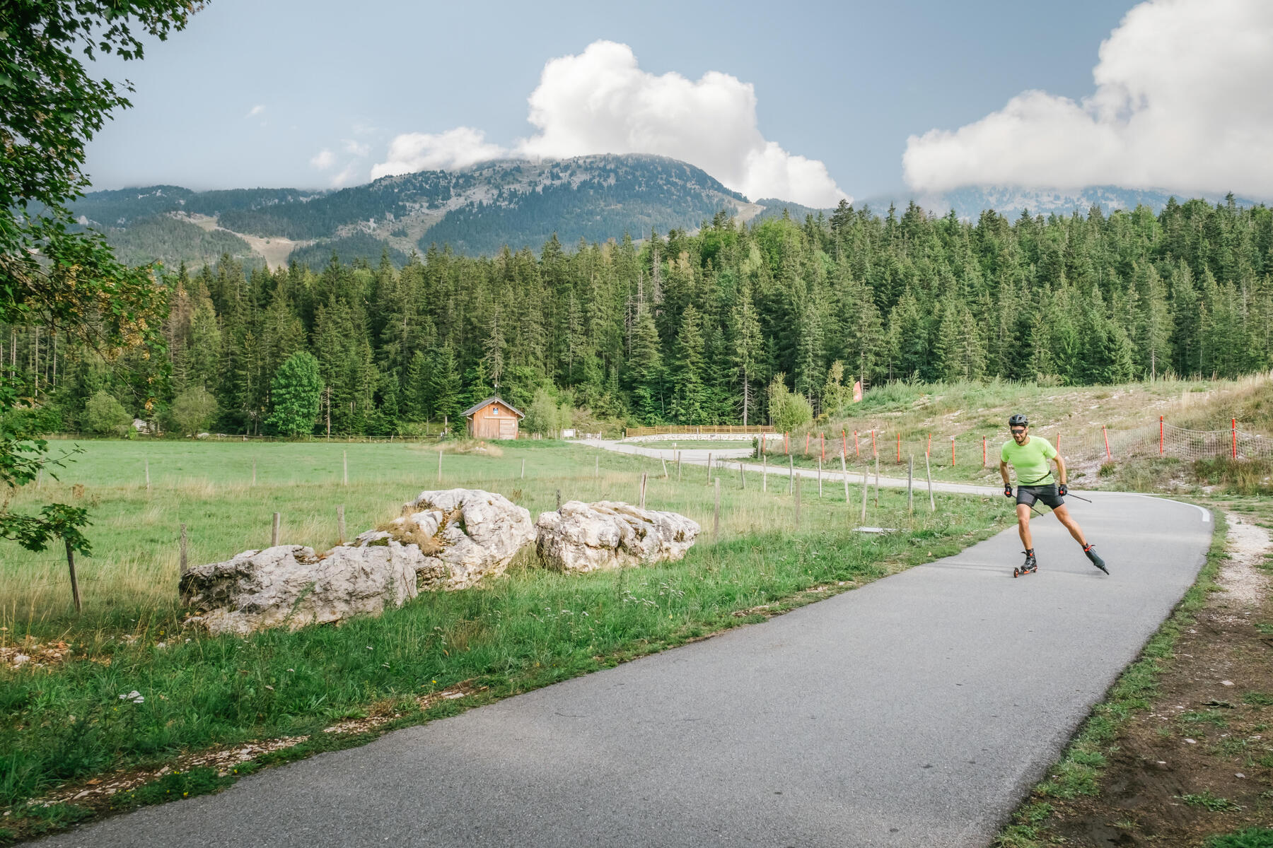 Rollerski pflegen und reparieren