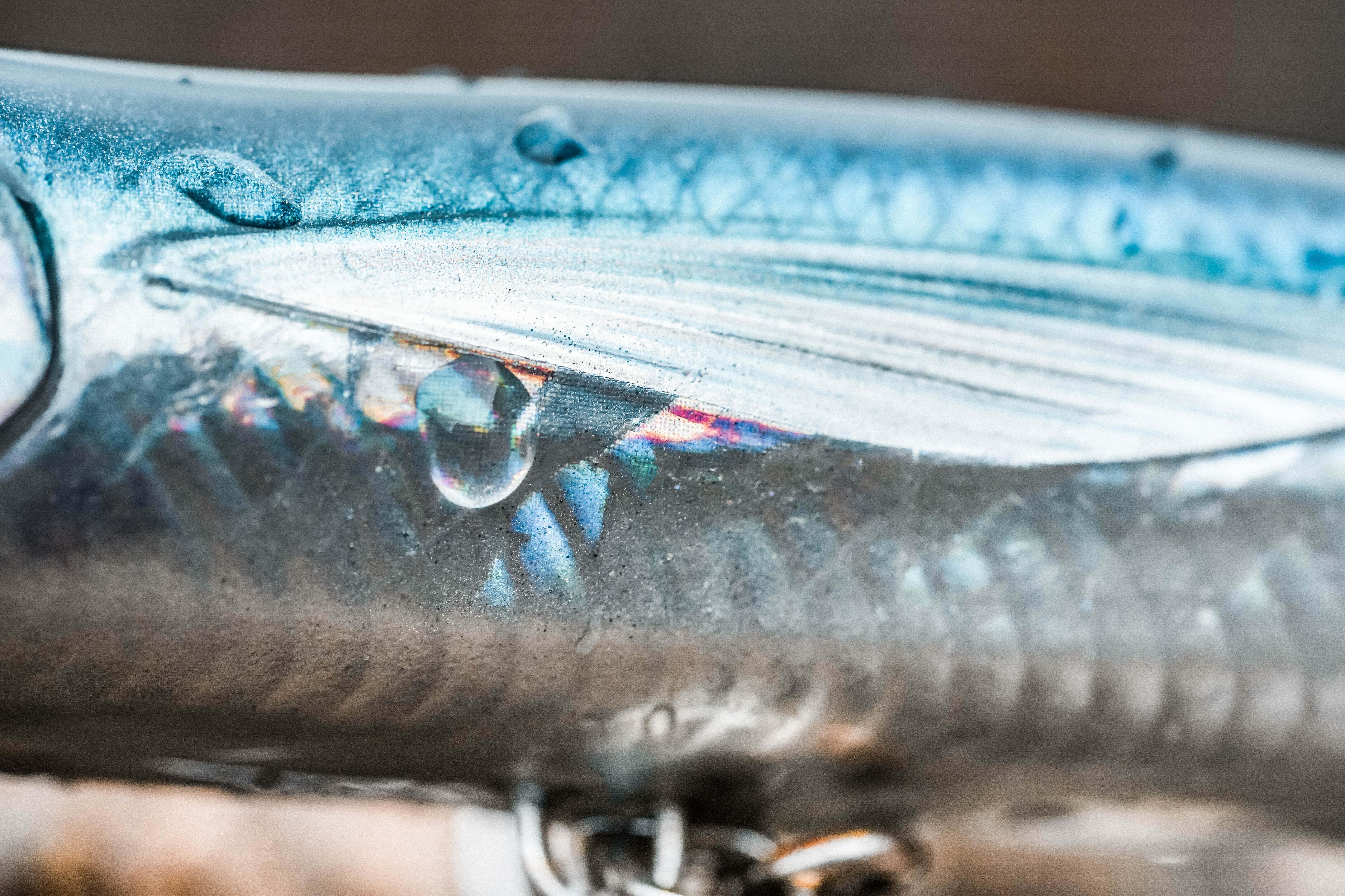 CAPERLAN Stickbait Exofly 130 F modrý na morský rybolov bez · záber 7
