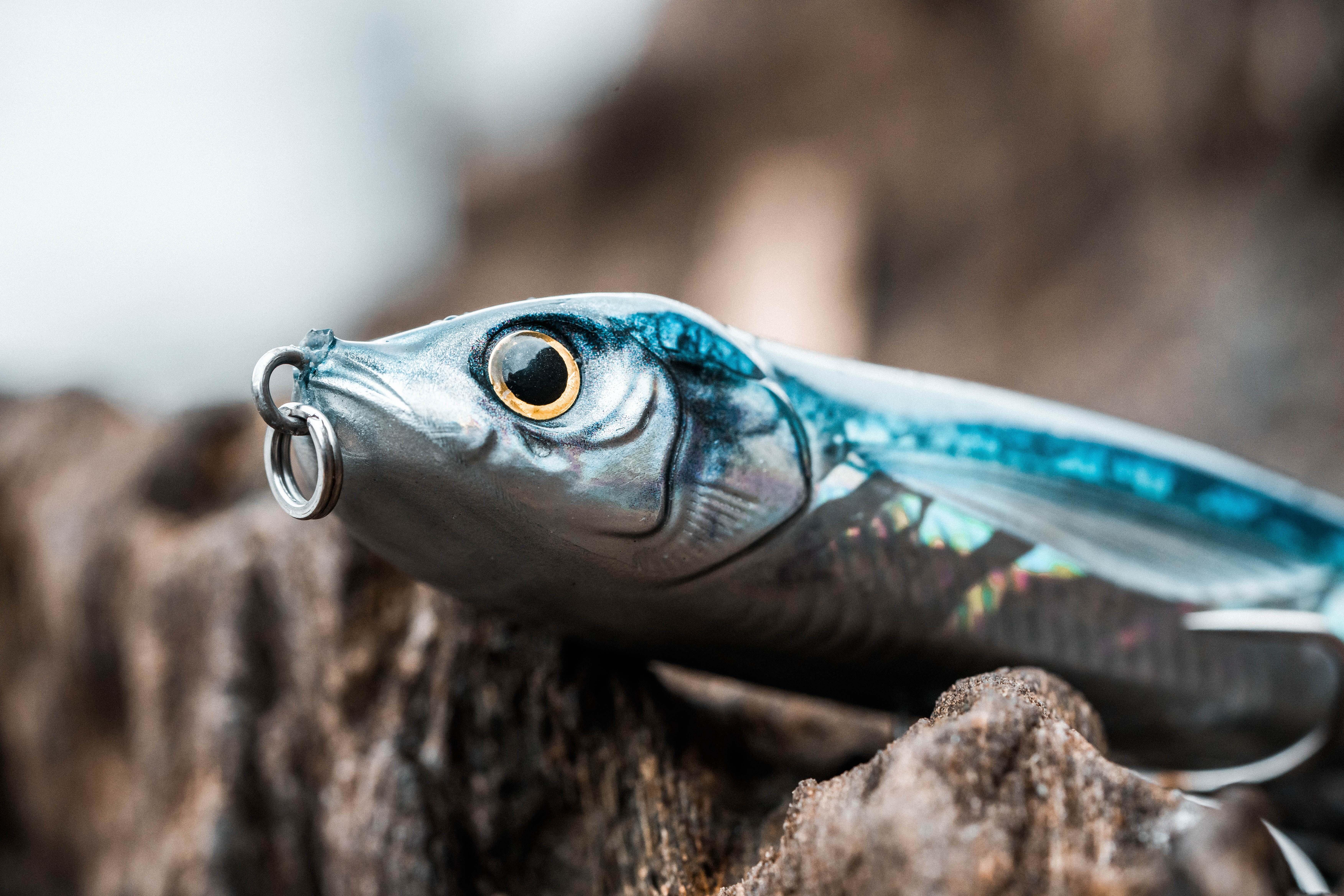 CAPERLAN Stickbait Exofly 130 F modrý na morský rybolov bez · záber 5