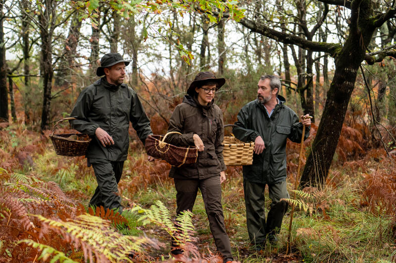 COME SCEGLIERE L'ABBIGLIAMENTO GIUSTO PER ANDARE A FUNGHI?