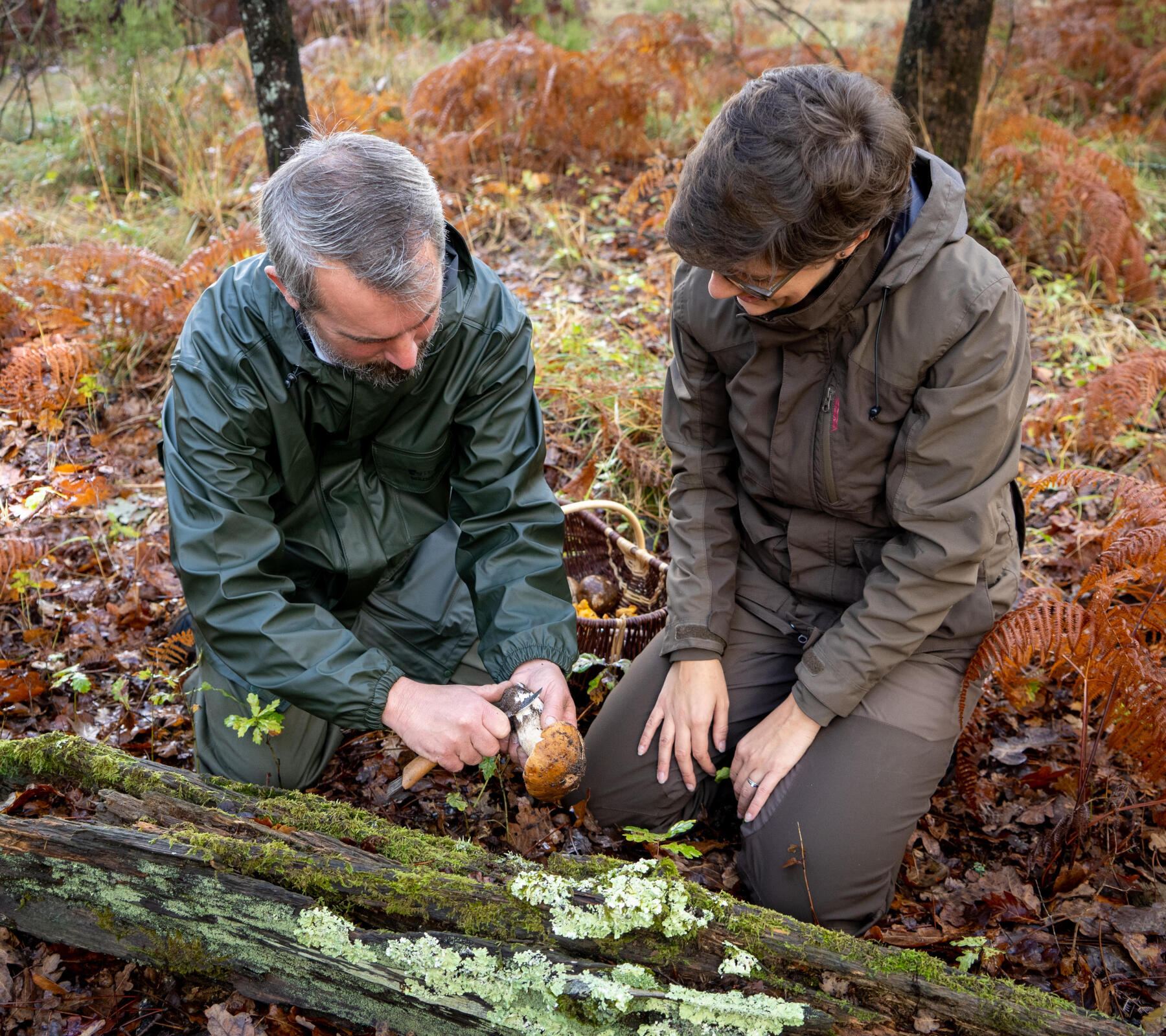 COME SCEGLIERE L'ABBIGLIAMENTO GIUSTO PER ANDARE A FUNGHI?