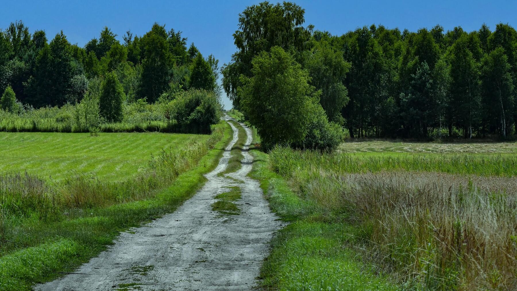 eco-design principi decathlon sviluppo sostenibile