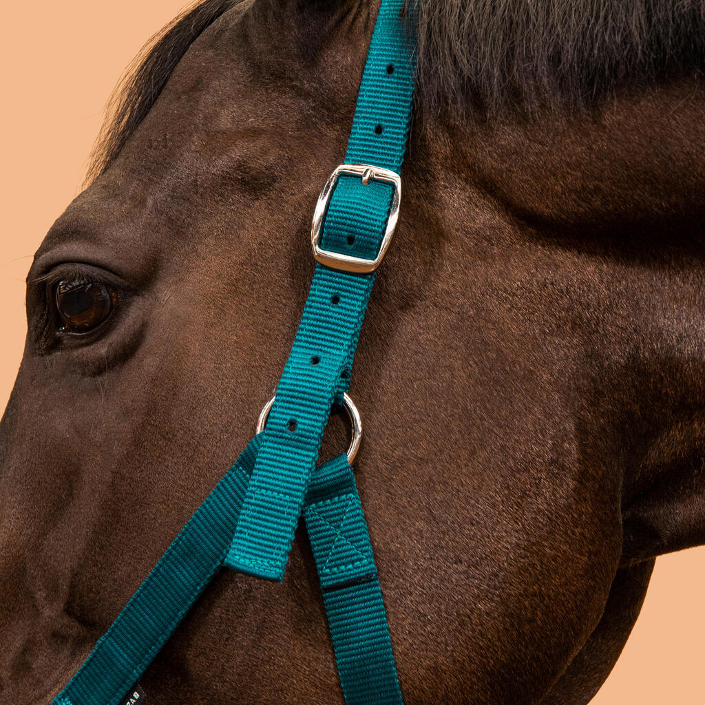 Schooling Horse Riding Halter for Horse or Pony - Petrol Blue