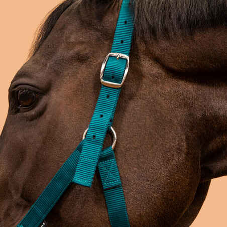 Horse Riding Halter for Horse and Pony Schooling - Petrol Blue