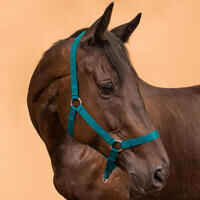 Horse Riding Halter for Horse and Pony Schooling - Petrol Blue