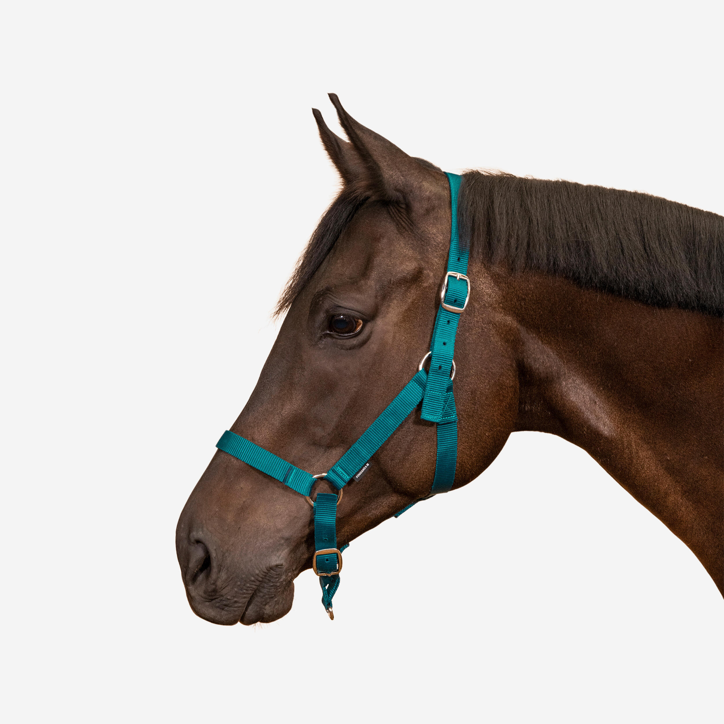 Fleece Padded Horse Halter - Adjustable Nylon With Removable Padding (Hunter Green)