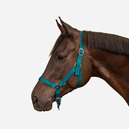 Schooling Horse Riding Halter for Horse or Pony - Petrol Blue