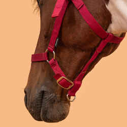 Horse Riding Halter for Horse and Pony Schooling - Raspberry