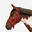 Cabeção de Equitação Cavalo e Pónei SCHOOLING Framboesa