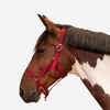 Ular za konje i ponije schooling boja maline