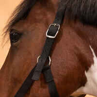 Horse Riding Halter for Horse and Pony Schooling - Black