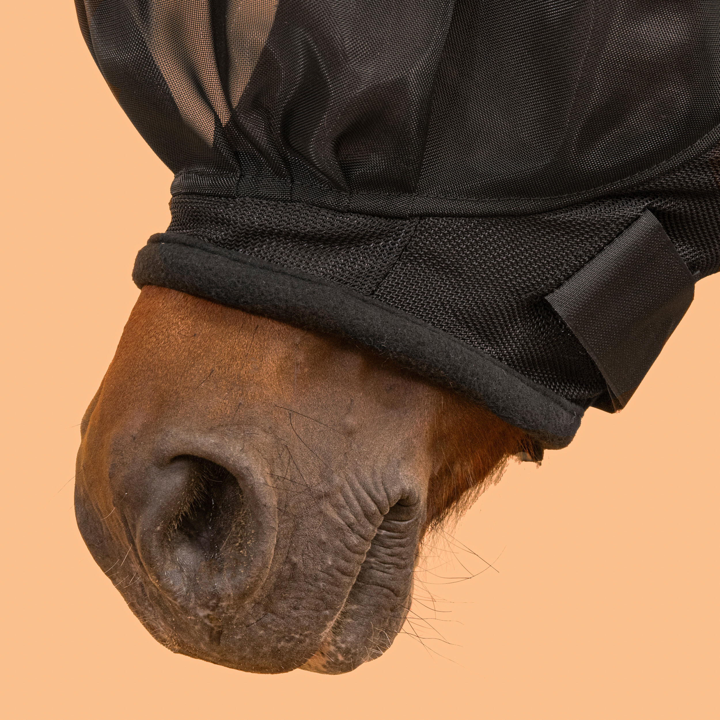 Horse Riding Fly Mask for Pony 500 3/4