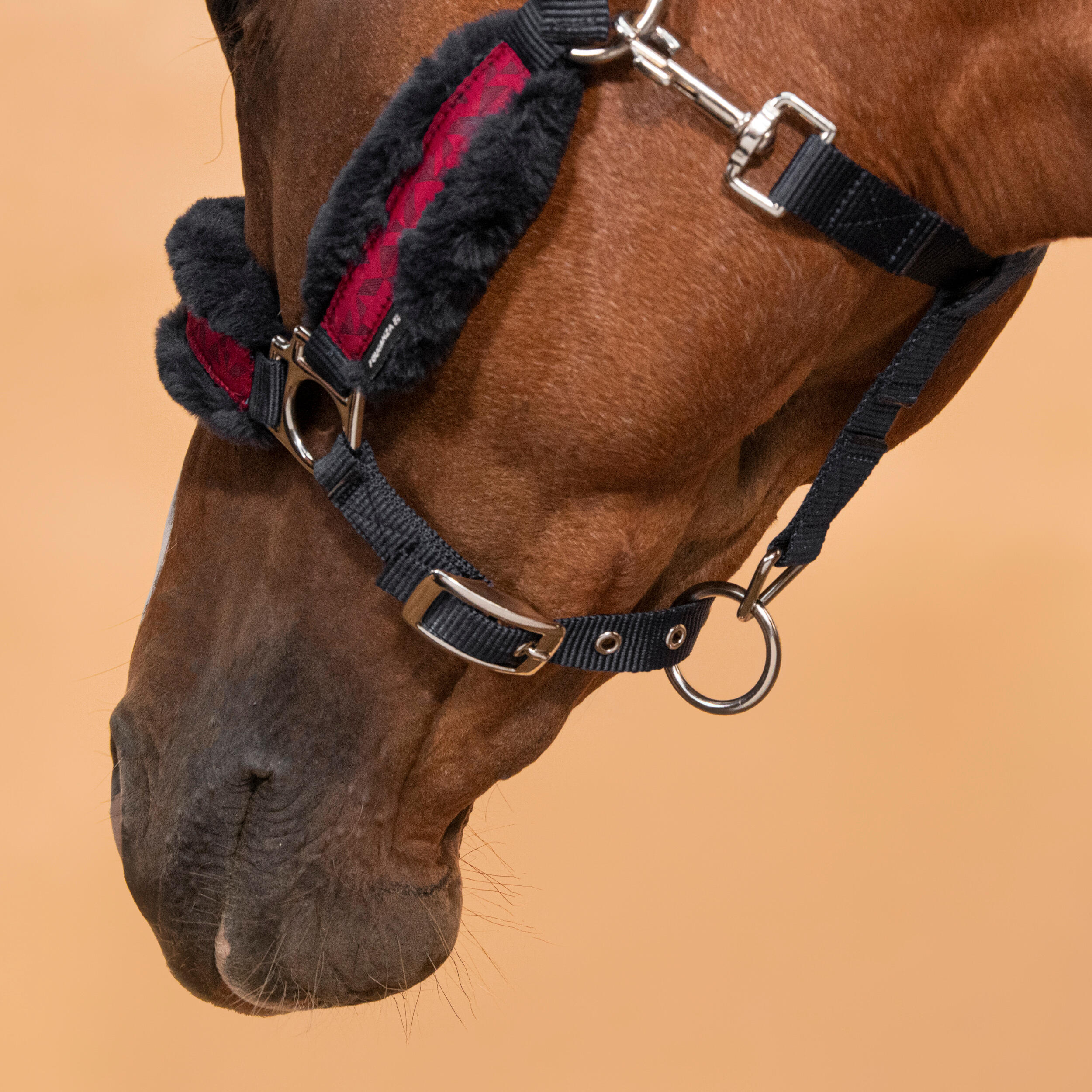 Halster voor pony's Comfort donkerblauw kardinaalroze donkerblauw 5/5