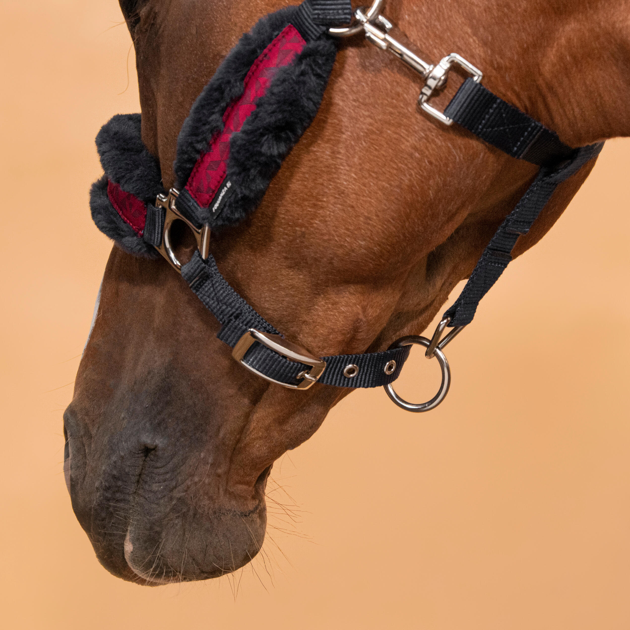Pony Riding Halter Comfort - Dark Blue/Deep Pink 5/5