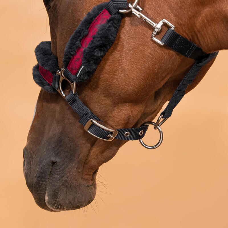 Licol équitation Poney - Confort Bleu noir / Rose cardinal / Bleu noir