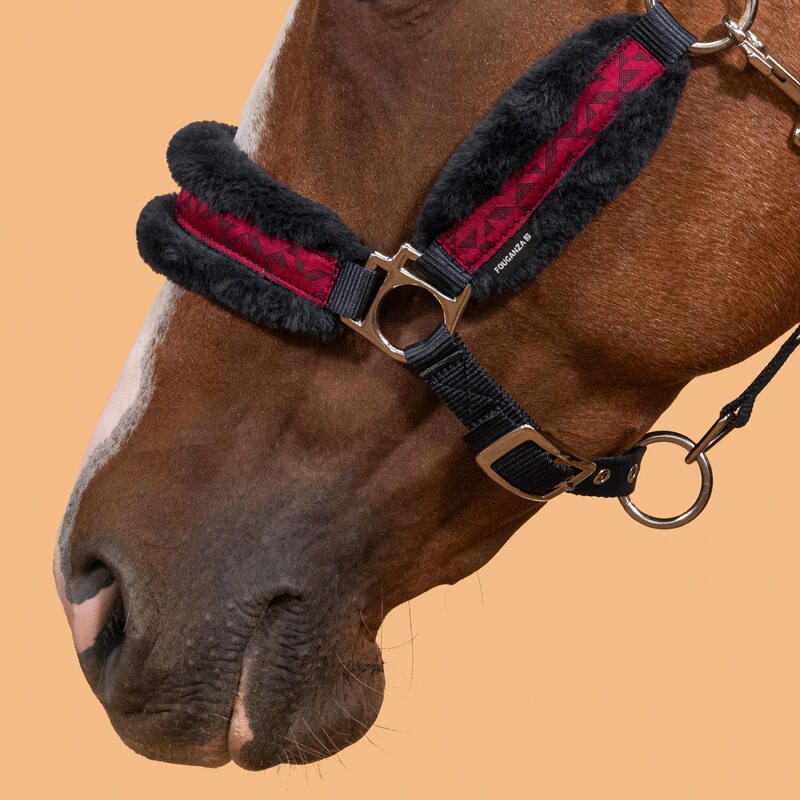 Capezza equitazione pony CONFORT azzurro-nero-rosa