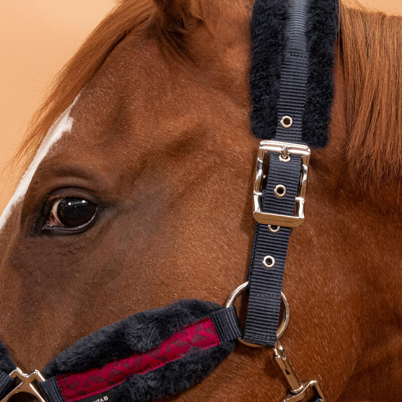 Licol équitation Poney - Confort Bleu noir / Rose cardinal / Bleu noir